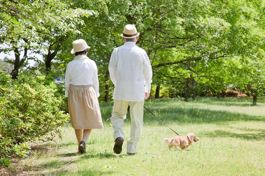 ワンちゃんの歩き方がおかしい？膝蓋骨脱臼（パテラ）の原因と予防について解説