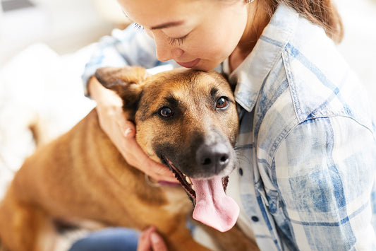 アジア人女性がベッドに座っている犬を陽の光の中ハグしているポートレート